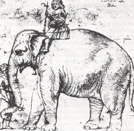 Hanno, l'éléphant Leo X du pape