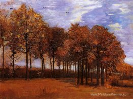 Paysage d'automne