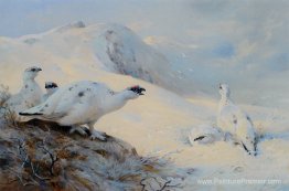 Ptarmigan appelant dans la neige