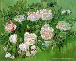 Nature morte - Roses roses