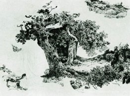 Groupe d'arbres et de pierres à feuilles caduques