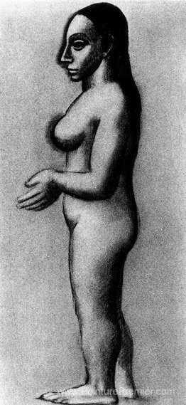 Femme nue dans le profil