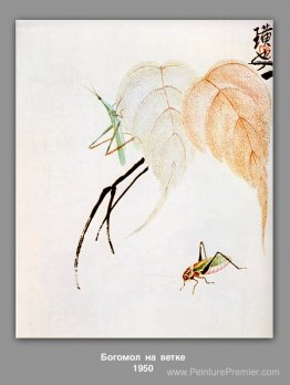 Mantis priant sur une branche