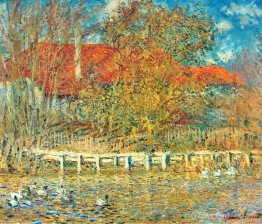 L'étang avec des canards en automne