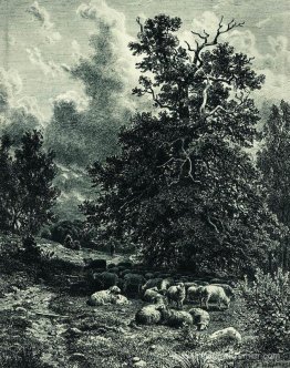 Troupeau de moutons sur le bord de la forêt