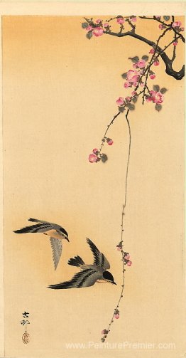 Cherry Blossom avec des oiseaux