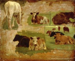 Étude des vaches