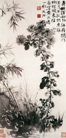 Chrysanthèmes et bambous