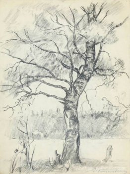 arbre de bouleau