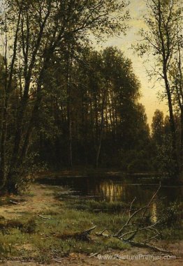 Backwater de la rivière dans la forêt