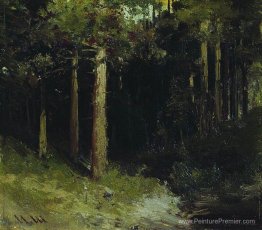 Forêt