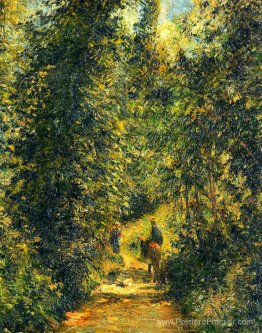 Chemin sous les arbres, été