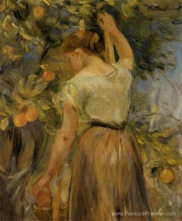 Jeune femme cueille des oranges