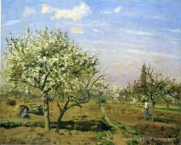 Orchard en fleur, Louvèciens