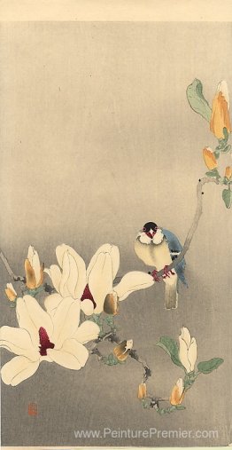 Oiseau bleu et magnolia