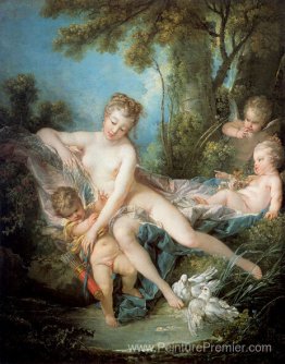 Vénus Confort Amor