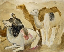 Kamele und Beduinen à Der Wüste