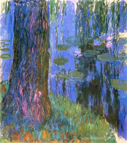 Weeping Willow e Water-Lily Pond