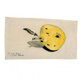 Sans titre (Quince)