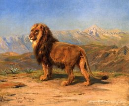 Lion dans un paysage montagneux