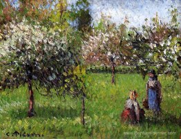 Blossoms de pomme, Eragny