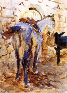 Cheval de selle, Palestine