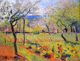 Jardin à fleurs au printemps