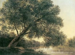 Arbre par le ruisseau