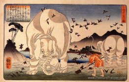 Thaishun avec des éléphants