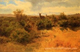 Cerf et biche dans un paysage