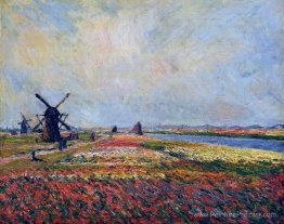 Champs de fleurs et moulins à vent près de Leiden
