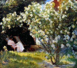 Marie dans le jardin (les roses)