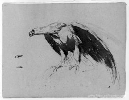 Eagle (de Sketchbook)