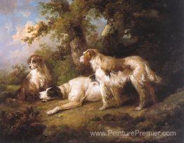 Chiens dans le paysage - Setters et pointeur