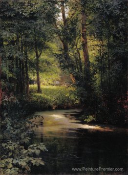 Creek dans la forêt