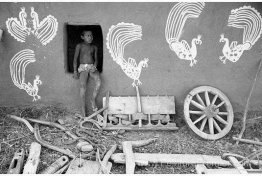Décorations murales sur la maison d'un fermier, Rajasthan