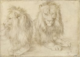 Deux lions assis