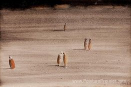 Figures dans un paysage marocain