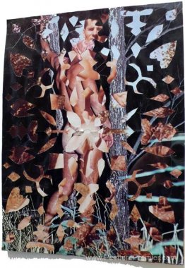 Collage de flocon de neige (nue mâle dans les bois)