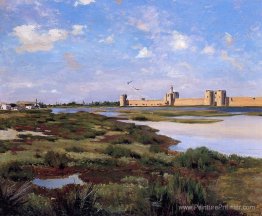 Paysage des aigues-mortes