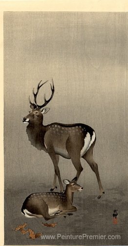 Cerf et biche couchée