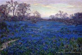 Bluebonnets à Twilight, près de San Antonio