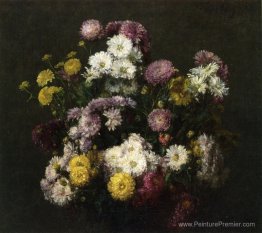 Fleurs, chrysanthèmes