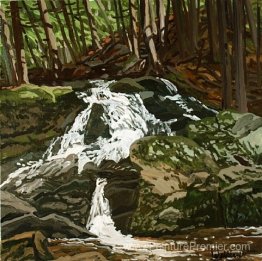 Étude pour Falls - Jam Brook