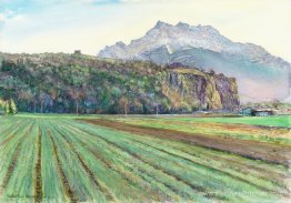 Paysage suisse de la plaine autour de la roche de Saint-Triphon