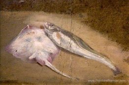 Étude du poisson, du patin et de la morue