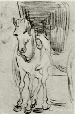 Cheval et calèche