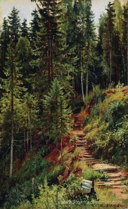 Le chemin dans la forêt