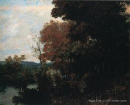 Le bord de la forêt