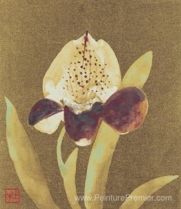 Orchidée